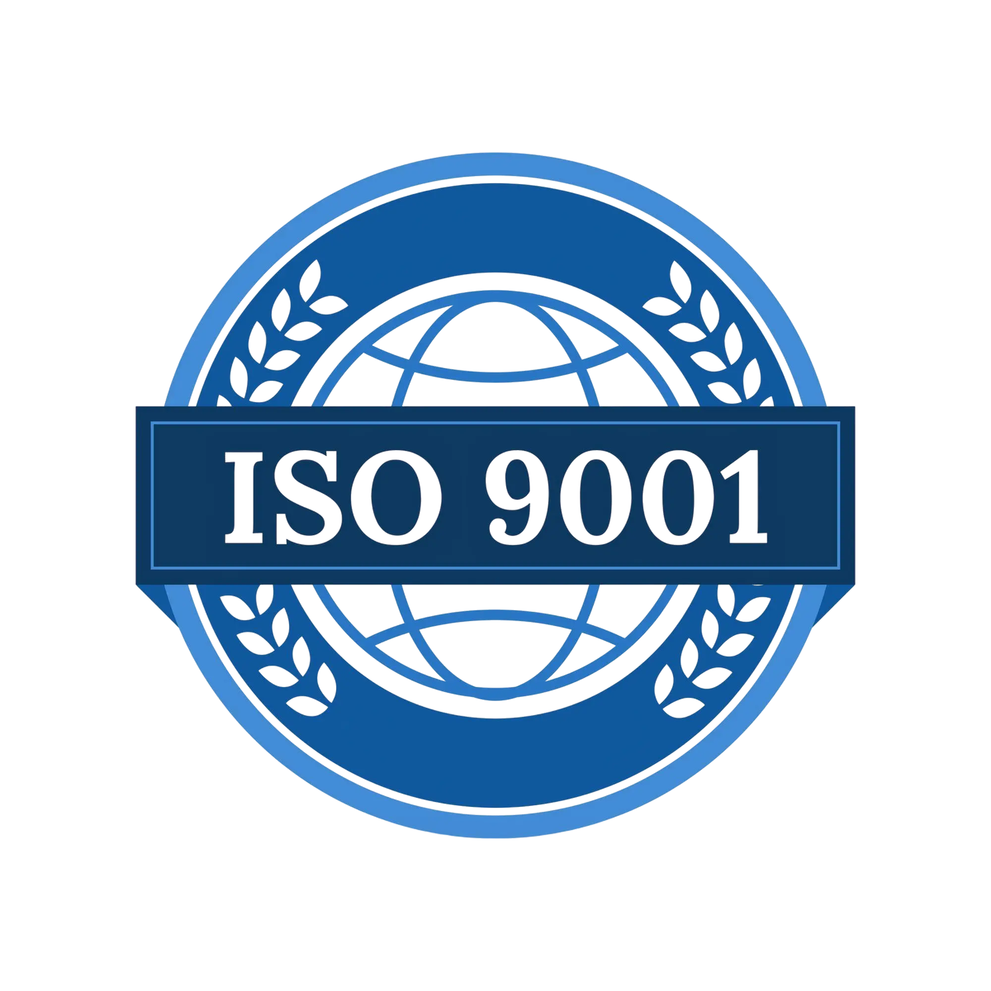 Certificazione ISO 9001 Multiservices Leone impresa edile Roma
